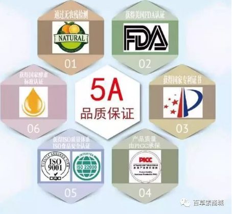 圖片5
